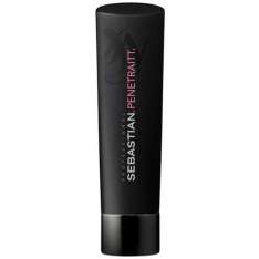 Sebastian Penetraitt Champú Para Cabello Dañado 250ml