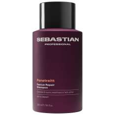 Sebastian Penetraitt Champú Reparador Para el Cabello Dañado 280ml